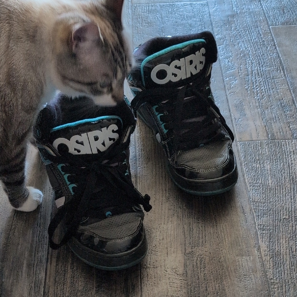Osiris Black and Teal High-Top Sneakers